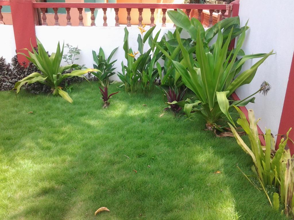 Starco Hotel Anjuna Exterior photo